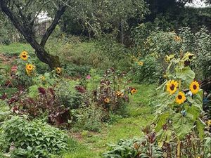 Terrain constructible