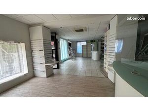 Local commercial ou professionnel