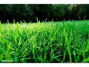 Terrain 350 m² Traubach Le Bas