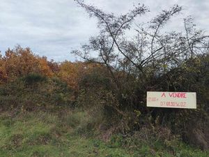 Terrain agricole 2000 m