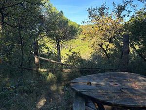 Terrain de loisirs boisé - 3000m2