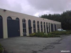 Local bureaux 1 160 m²