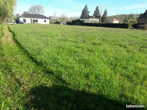 Terrain constructible