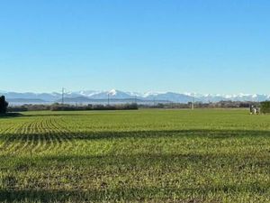 Terrain 1 135 m² Lafitte Vigordane