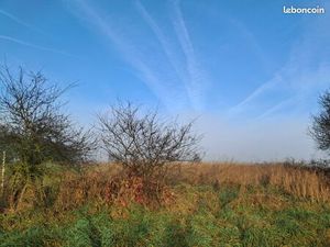 Terrain constructible