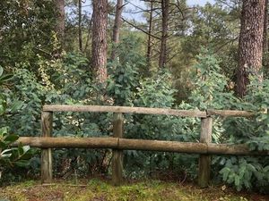 Pavillon à lacanau océan