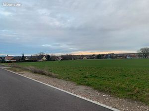 Terrains constructibles viabilisés à WICKERSHEIM