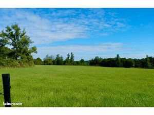 Terrain 985 m² Salleboeuf