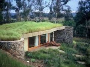 Cherche petite maison