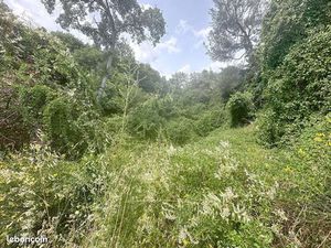 Terrain 1 305 m² Villeneuve Les Avignon