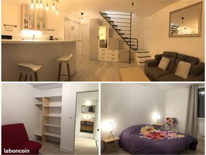 Appartement T3 Duplex - 53 m² - Centre Grenoble