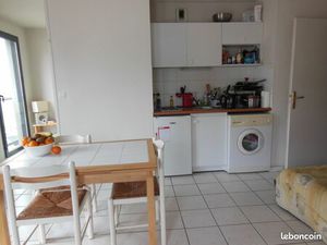 T1bis pont des Catalans