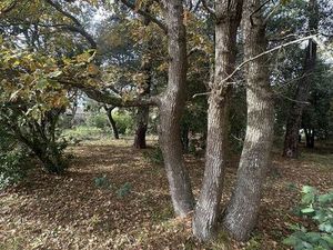 Terrain 565 m² SOULAC SUR MER