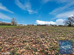Terrain 5052 m² SAUGNAC ET CAMBRAN