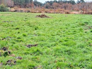 Magnifique terrain 600 m2