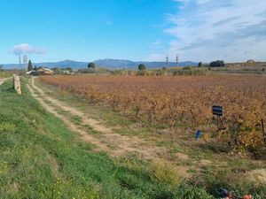 Terrain agricole/loisir