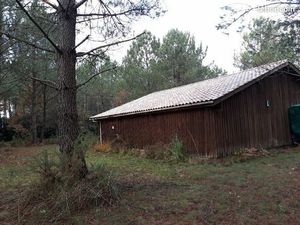 Grand bâtiment en bois