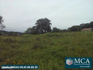 Terrain 600 m² Urcuit