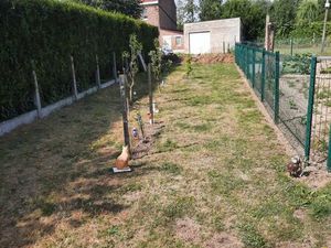 Petit Terrain constructible en centre ville