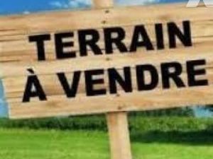 Terrain 24110 m² THORIGNE EN CHARNIE