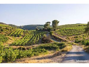 Terrain 160 m² Saint Andre De Sangonis