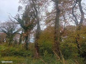 Terrain 960 m² Audenge