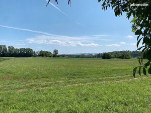 Terrain 1 317 m² Hesingue