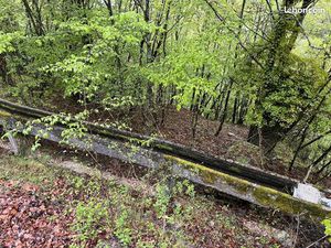 Terrain Moulinet 1132 m2