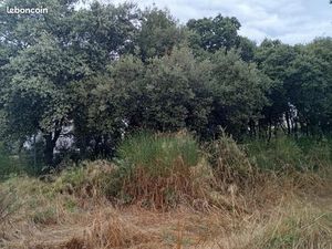 Terrain 499 m² Rochefort Du Gard