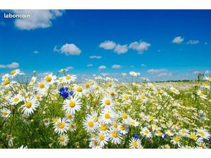 Terrain 1 010 m² Vielle Saint Girons