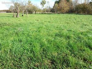 Terrain 1470 m² FOUGERES SUR BIEVRE