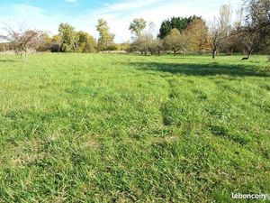 Terrain 1545 m² FOUGERES SUR BIEVRE
