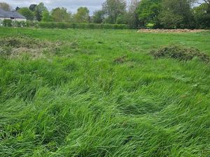 Terrain 2034 m² Châteaubriant