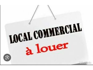 Local activité professionnel