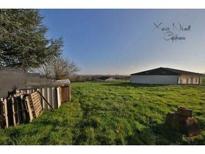 NIVAULT Xavier Capifrance