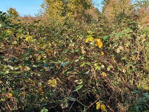 Vends terrain loisirs