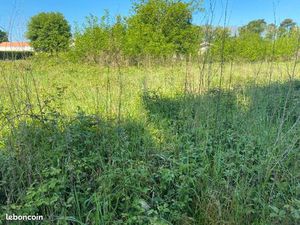 Terrain 800 m² La Teste De Buch