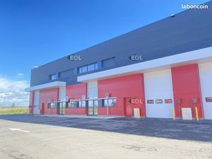 Local d'activité 563 m²