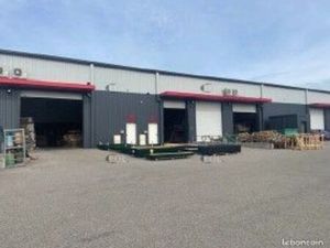 Local d'activité 569 m²