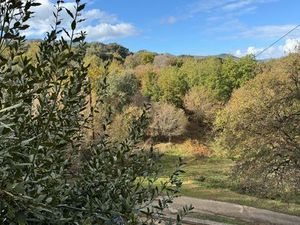 Plaine de Venzolasca – Appartement T3