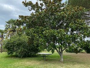 Maison 250m2 au calme