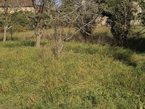 Terrain constructible 567m² avec permis pour maison d’architecte de plain-pied
