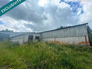 Local 593 m² SAULZET-LE-FROID