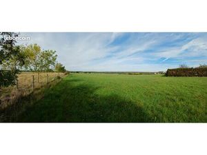 TERRAIN DE LOISIR 4000 m² aux portes du Poney Club de Pied Bercy