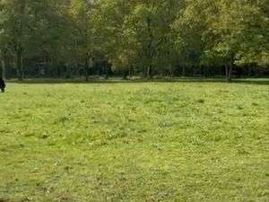 A vendre terrain agricole