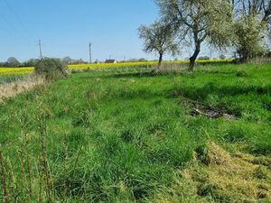 Terrain de loisirs + grange