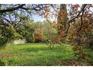 Terrain 1 194 m² Saint Remy De Provence