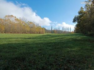 Maison avec hectares