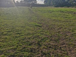 Recherche terrain et/ou batiment