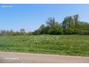 Terrain 3 684 m² Bosjean